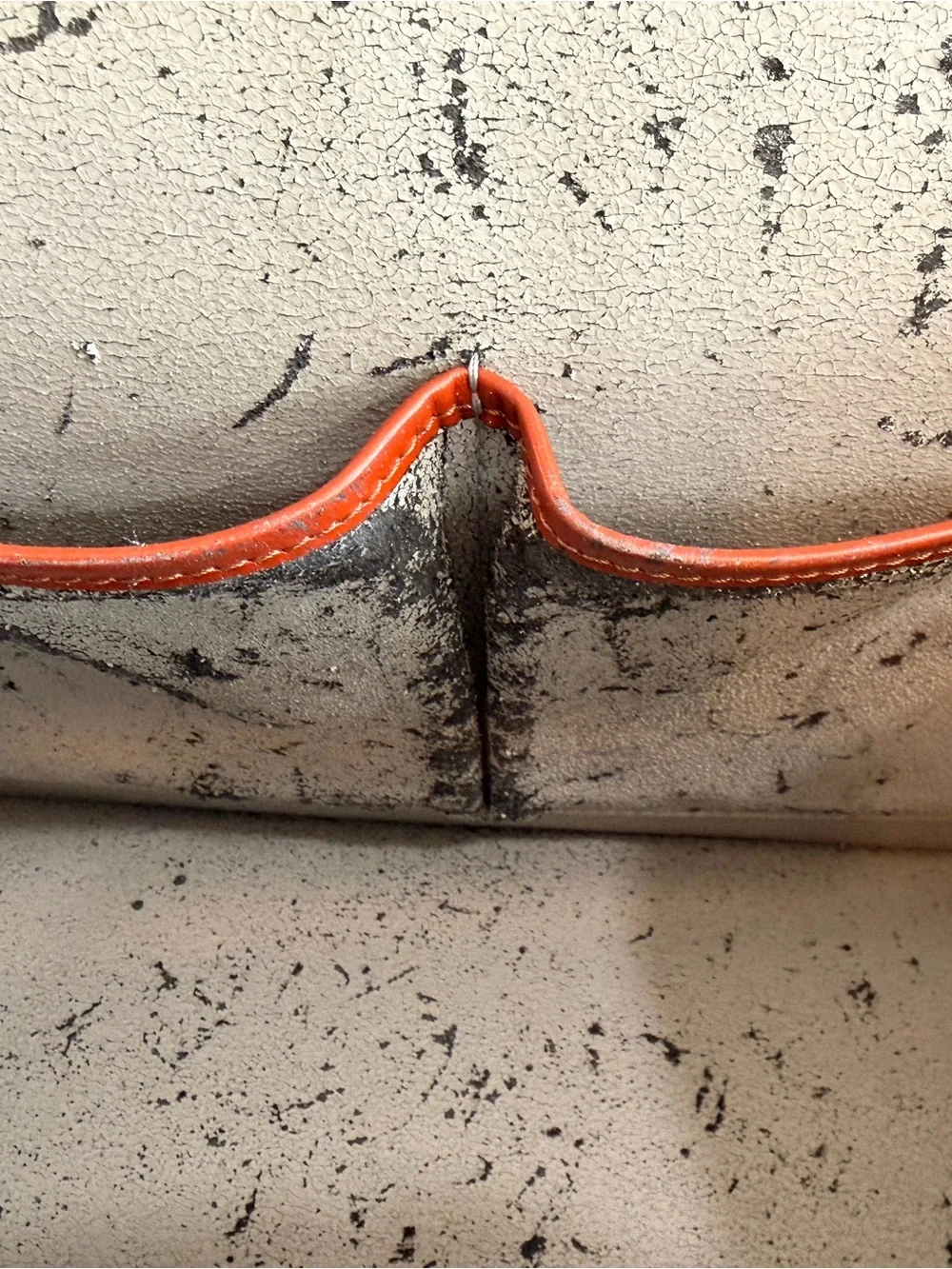 Louis Vuitton authentic louis